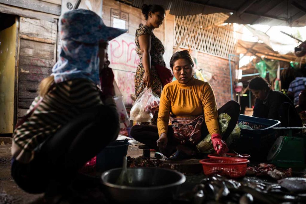 Cambodia Fish Market